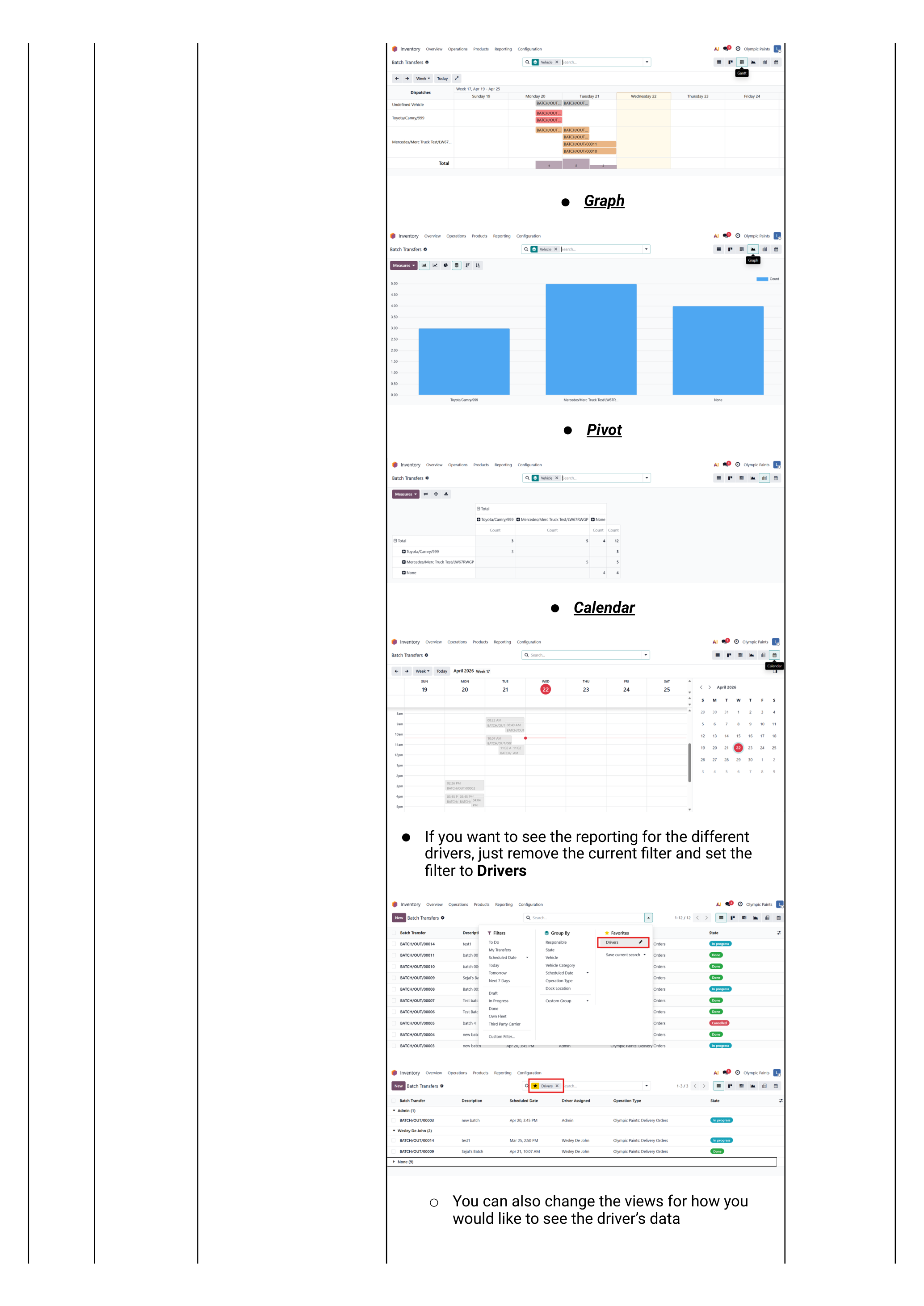 Sprint 5 — vehicle reports view